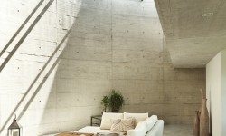 Etiam commodo convallis